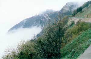 ������ ����������. ������ ������ � ����